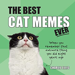 Katze Meme