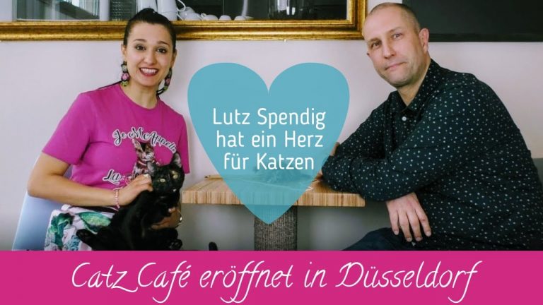 DüSseldorf Katzencafe